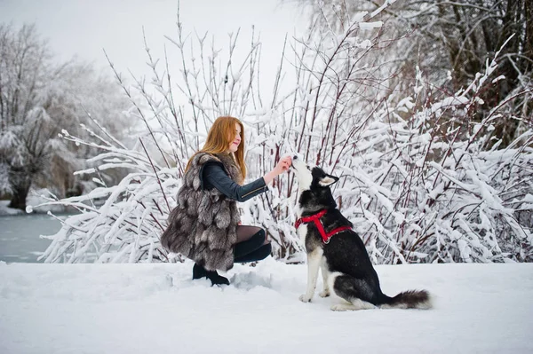 Menina de cabelos vermelhos andando no parque com cão husky no dia de inverno . — Fotografia de Stock