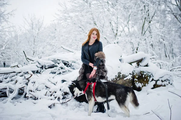 Menina de cabelos vermelhos andando no parque com cão husky no dia de inverno . — Fotografia de Stock