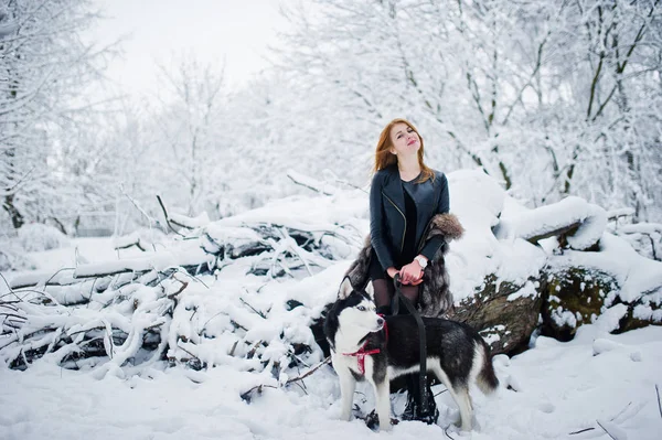 Червоне волосся дівчина гуляє в парку з хаскі собакою в зимовий день . — стокове фото