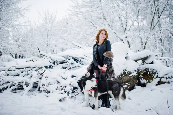 हिवाळा दिवस हस्की कुत्रा उद्यानात चालत लाल हेअर गर्ल . — स्टॉक फोटो, इमेज