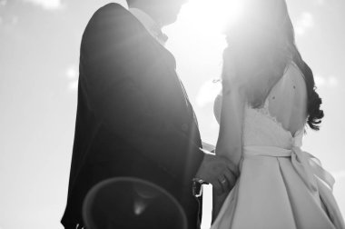 Öpüşme sevgi dolu evlilik çift güneş ışığı.