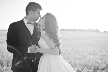 Buğday alan, sevgi dolu evlilik çift. 