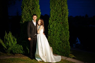 Akşam aşık çift düğün hugs.