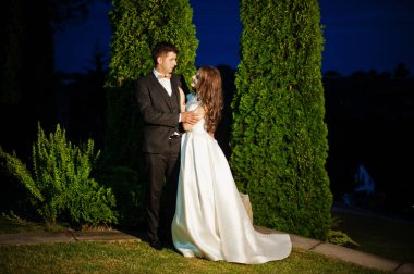 Akşam aşık çift düğün hugs.