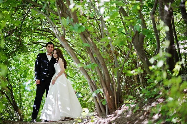 Hermosa pareja de boda en el bosque en el soleado día de verano . — Foto de Stock