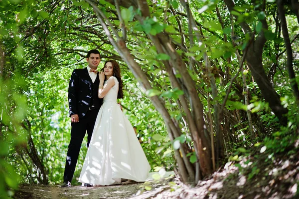 可爱的新婚夫妇在森林中阳光明媚的夏日. — 图库照片