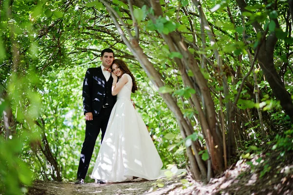 Hermosa pareja de boda en el bosque en el soleado día de verano . — Foto de Stock