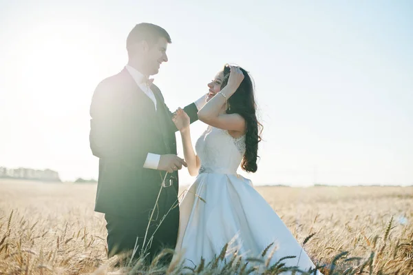 Liebendes Hochzeitspaar auf einem Weizenfeld. — Stockfoto