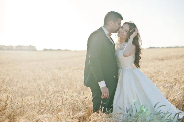 Aimant couple de mariage au champ de blé . — Photo