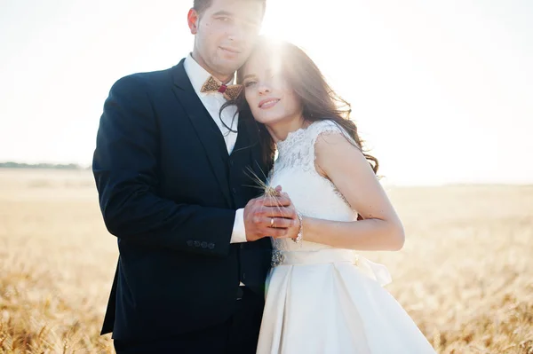 Loving wedding couple at field of wheat. — Stock Photo, Image