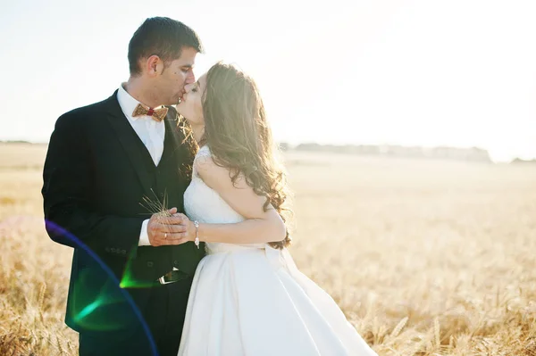 Aimant couple de mariage au champ de blé . — Photo