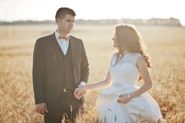 Aimant couple de mariage au champ de blé . — Photo