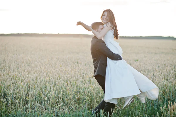 Loving wedding couple at the field of wheat . — стоковое фото