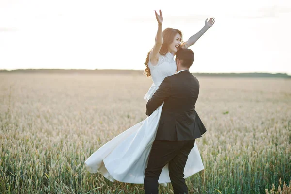 Loving wedding couple at the field of wheat . — стоковое фото