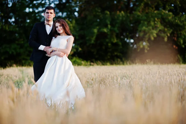 Loving wedding couple at the field of wheat . — стоковое фото