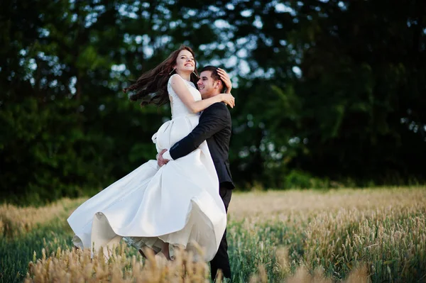 Loving wedding couple at the field of wheat . — стоковое фото