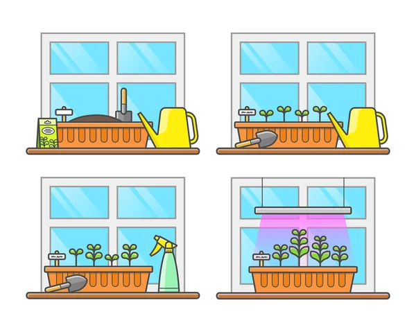 Stages of growing plants at home on the window. Planting seedlings in a box, watering, first sprouts, spraying, lighting — Stock Vector