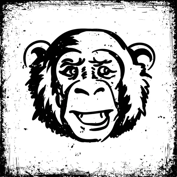 A set of sketches monkey in different images isolated Vector illustration — Stock Vector