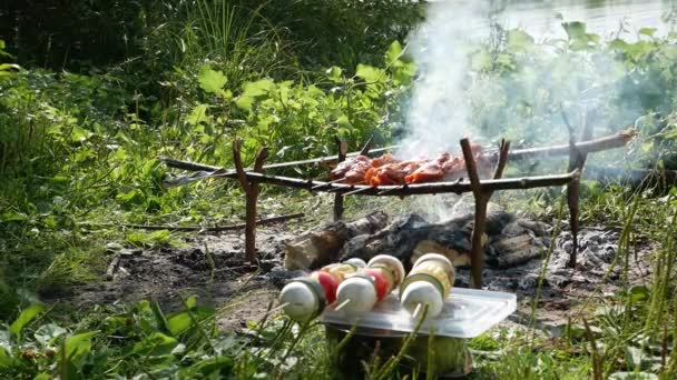 Kebabs Viande Aux Légumes Tourisme Cuisiner Dans Nature Sur Rive — Video