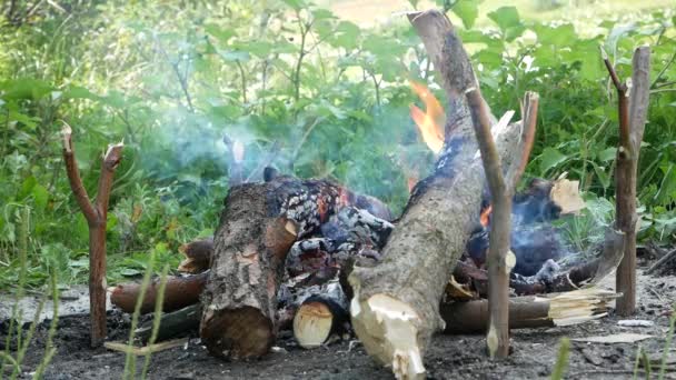 Turismo Fuego Para Cocinar Naturaleza — Vídeo de stock