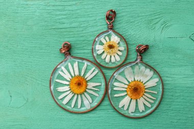 handmade epoxy resin jewelry. pendant, camomile in copper frame. dried flowers. herbarium, oshibana, phytotherapy. clipart