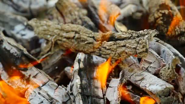 Carboni ardenti e struttura del fuoco — Video Stock