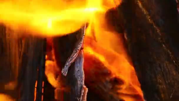 Flammen und Brennholz — Stockvideo