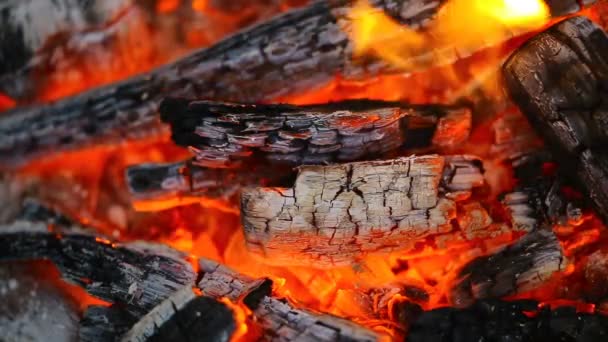 Charbons chauds et texture des flammes — Video