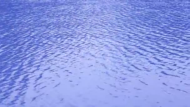 Floden vågor konsistens — Stockvideo
