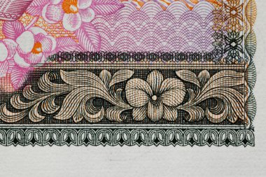 banknot parlak Asya koruyucu desen