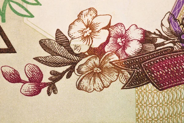 Μακροεντολή προστατευτική μοτίβο με λουλούδια για τα τραπεζογραμμάτια — Φωτογραφία Αρχείου
