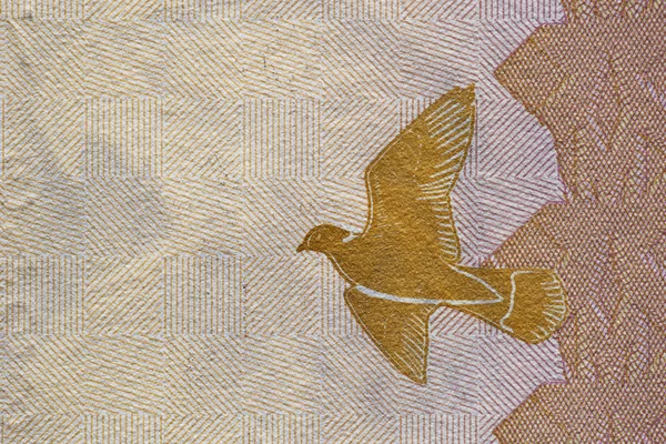 banknot kuş resmi