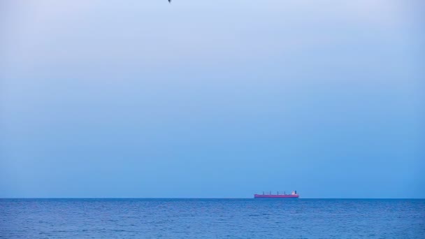 貨物船にのびていた。地平線と穏やかな海. — ストック動画