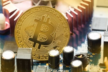 Altın bitcoin ve grafik kartı sanat çekim