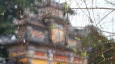 Vietnam. Hui 'deki İmparatorluk Sarayı. Yasak imparatorların şehri.