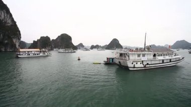 VİETNAM 'DA HALK - Doğanın HÜKÜMETİ