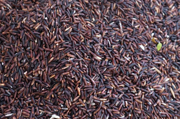 Arroz Natural Tailândia — Fotografia de Stock