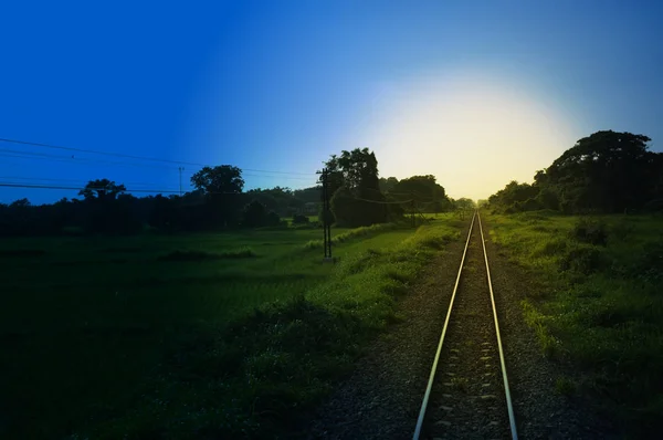 在泰国北部铁路，夏季穿过绿地的生锈铁轨尽收眼底 — 图库照片