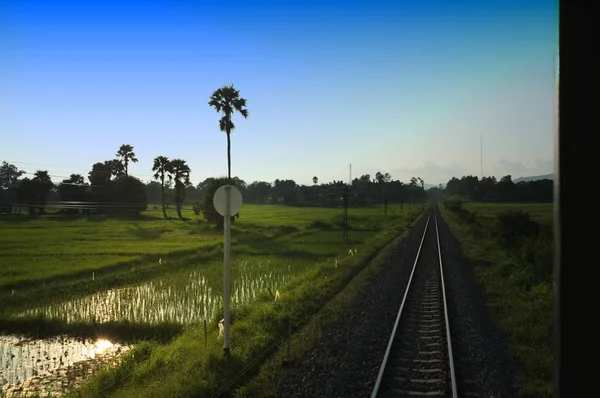 Top view of the rusty rails crossing the green field in a summer day, Northern Railway Thailand — стоковое фото