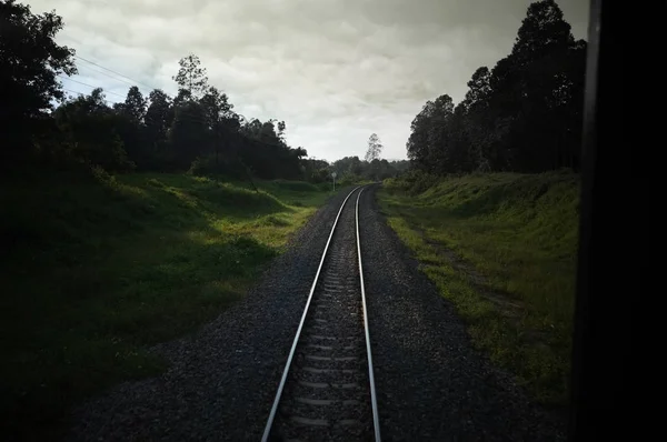 Верхній вигляд іржавих рейкових шляхів перетинає зелене поле в літній день, Північна залізниця Таїланд — стокове фото