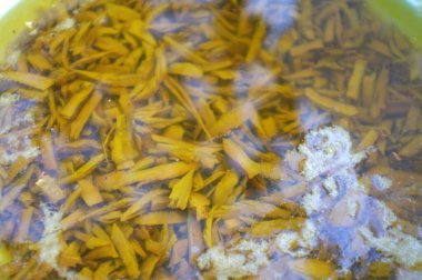 Doğal sarı renkli ham kumaşlar. Tekstil boyaları. Garcinia dulcis kabukları. Garcinia dulcis ya da Tayland adı: yama, siğil, kuru erik ,