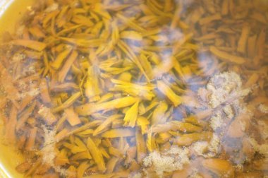 Doğal sarı renkli ham kumaşlar. Tekstil boyaları. Garcinia dulcis kabukları. Garcinia dulcis ya da Tayland adı: yama, siğil, kuru erik ,