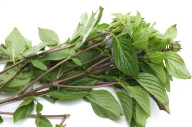 Beyaz arka planda Tayland tatlı fesleğeni. içerik Thaifood