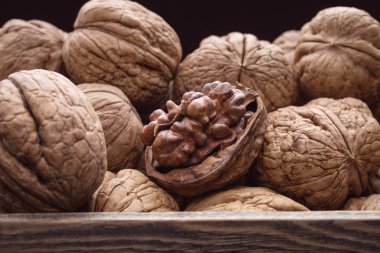 Ceviz kabuğundaki doku fotoğraf