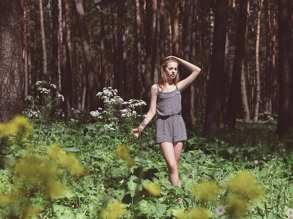 Chica en un parque de pinos en el verano . — Foto de Stock