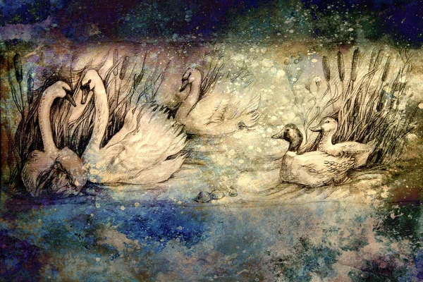 Decoratieve tekening van zwanen en wilde eenden zwemmen in vijver met riet — Stockfoto