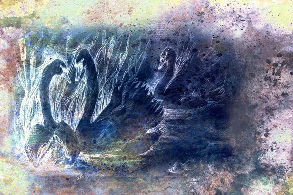 Dibujo de estilo decorativo de cisnes nadando en el estanque con cañas, monocromático —  Fotos de Stock