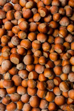 Kahverengi fındık dağı kızıl bir fındıkta