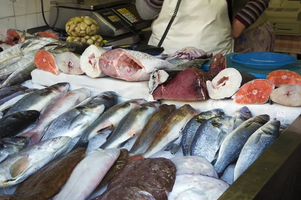 Риби на продаж в порту, Португалія — стокове фото