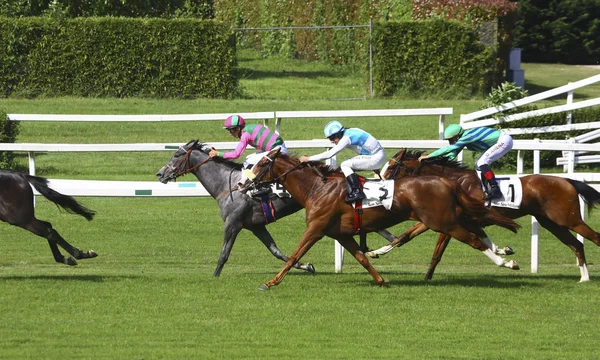 Fullblodshästar racing i Milano — Stockfoto